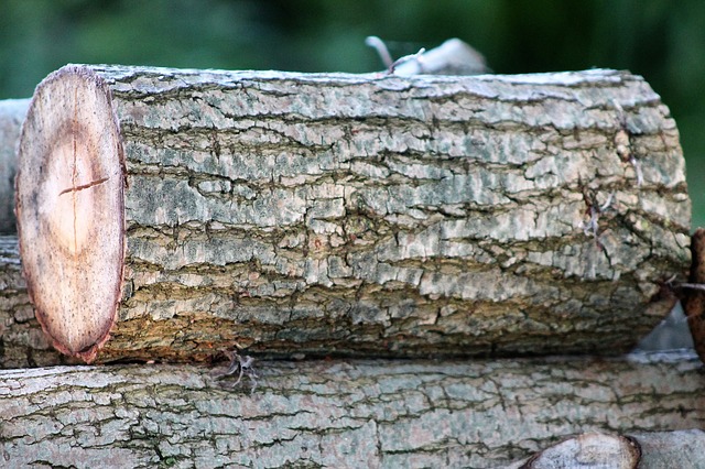 Quel combustible choisir pour son chauffage au bois ?