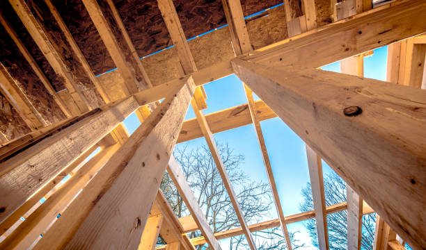 Pourquoi construire votre maison en ossature bois ?