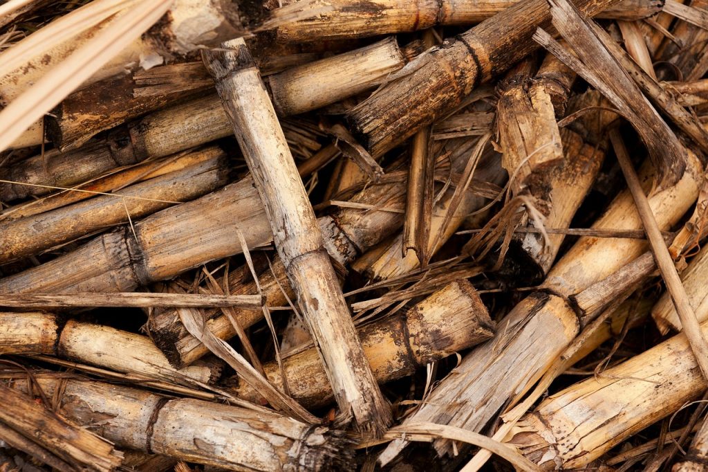 Chutes de bois destinées à la production d'énergie biomasse