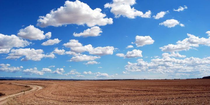 Que regarder avant d’acheter un terrain ?